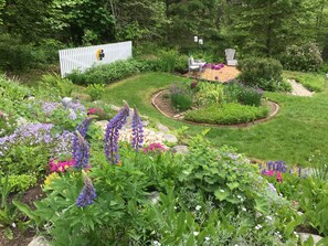 Property grounds - The Sanctuary- a lovely 2-bedroom home on a sweet quiet tidal cove in Freeport (Freeport)