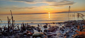 A beach with pebbles and driftwood. - Lovely holiday home near water and nature (Hadsund)