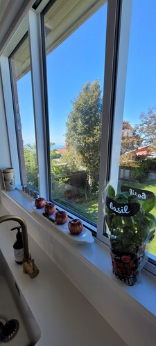 Fabulous on Forbes - Dunedin Favourite for Work or Play!