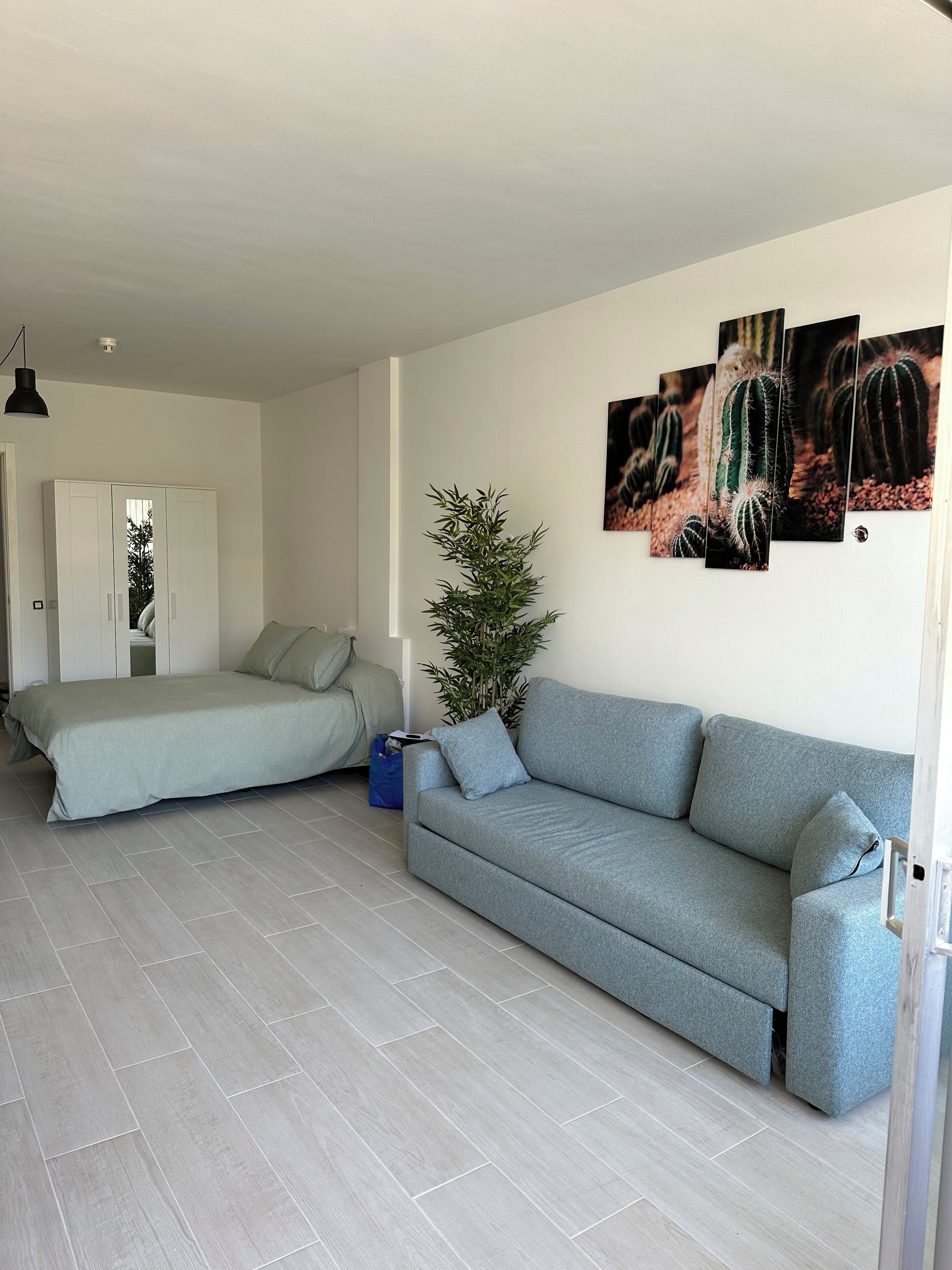 A modern living room with a grey sofa, a bed with a green cover, a potted plant, and a wall with cactus artwork.