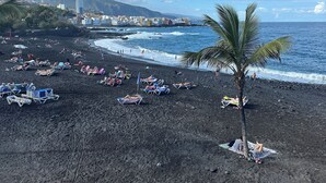 A beach with black sand, palm trees, and a clear blue sky. - Palmeraie Studio - Sea view and pool (Puerto de la Cruz)