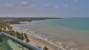 Une vue côtière avec une plage, des palmiers et une jetée qui s’avance dans l’eau.
