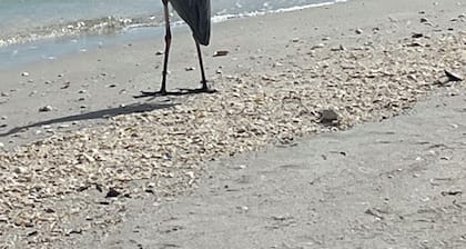 Cozy 1-bedroom condo private beach in Fort Myers Beach access to Lovers Key Park