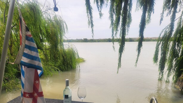 Ein Boot mit einer Weinflasche und einem Glas auf dem Deck, umgeben von Wasser und Grünpflanzen.