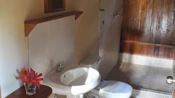 Shower, towels, soap, toilet paper