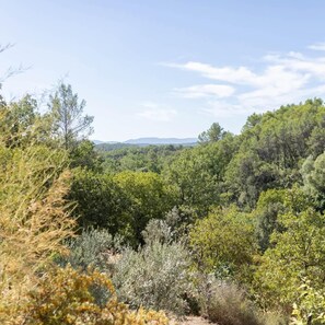 Miscellaneous - Studio LE NID with shared pool (FLAYOSC)