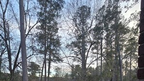A view from a balcony overlooking a fenced outdoor area with a trampoline, surrounded by trees. - Masters Week Golf Retreat-4BR Home on Golf Course (Augusta)