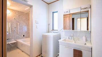 Separate bathtub and shower, hydromassage showerhead, hair dryer