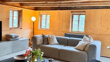 Fernseher