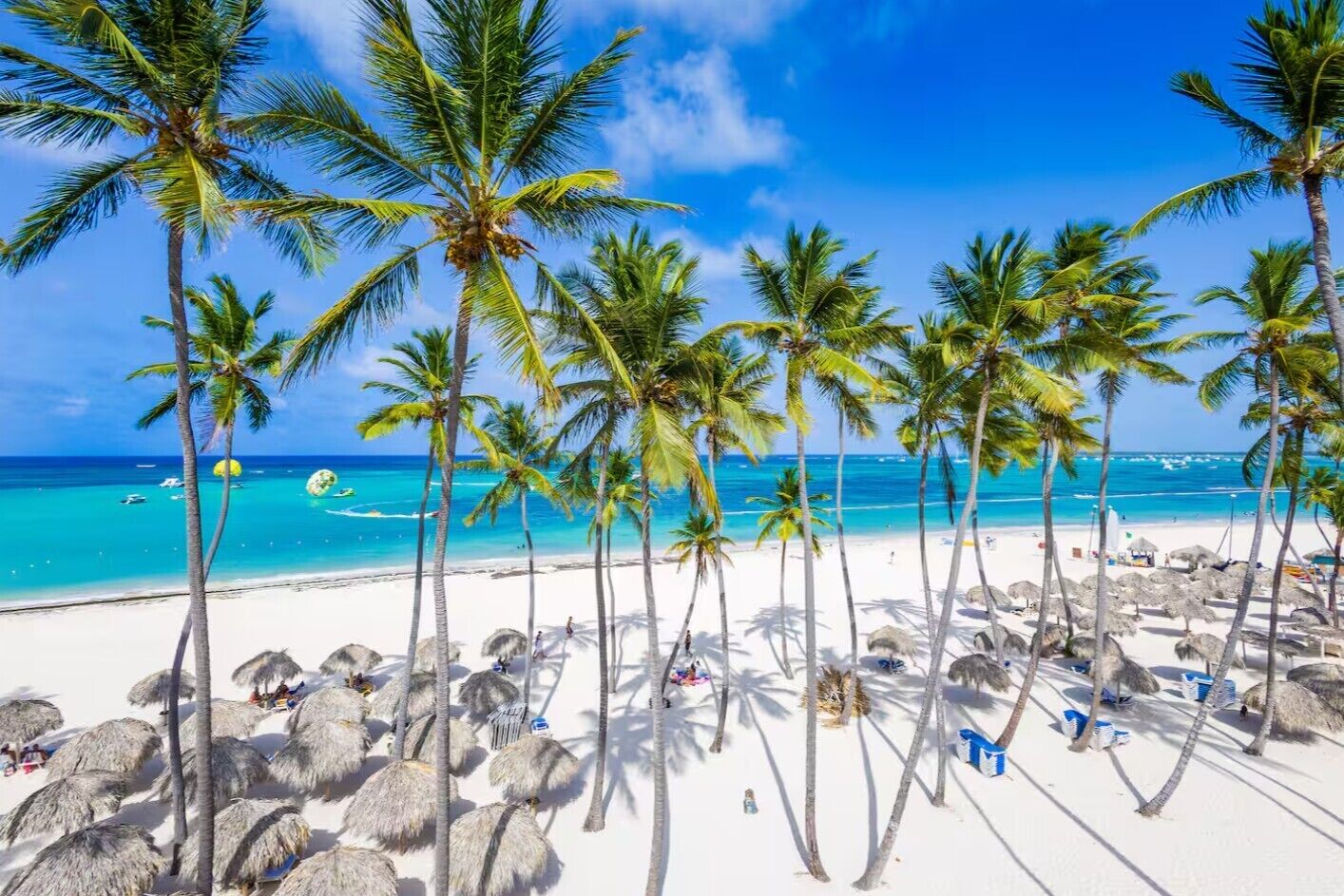 A beach with palm trees and thatched umbrellas.