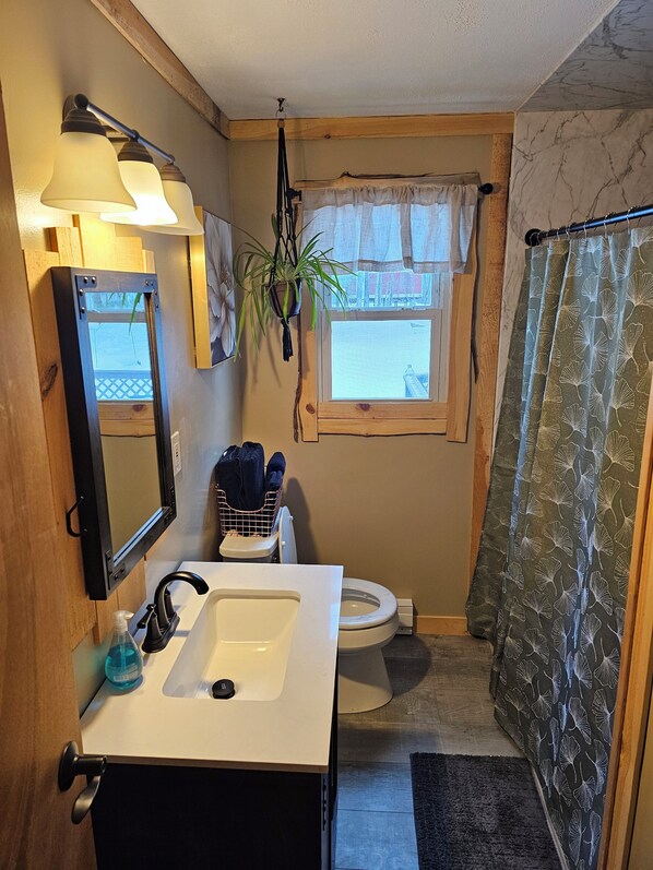 A compact bathroom with a white sink, mirror, and toilet. There is a window with a sheer curtain, a hanging plant, and a shower curtain with a leaf pattern. - Serene 2-bedroom cottage in charming Hawley (Hawley)