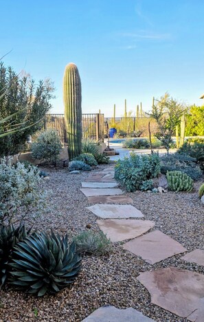 Área da propriedade