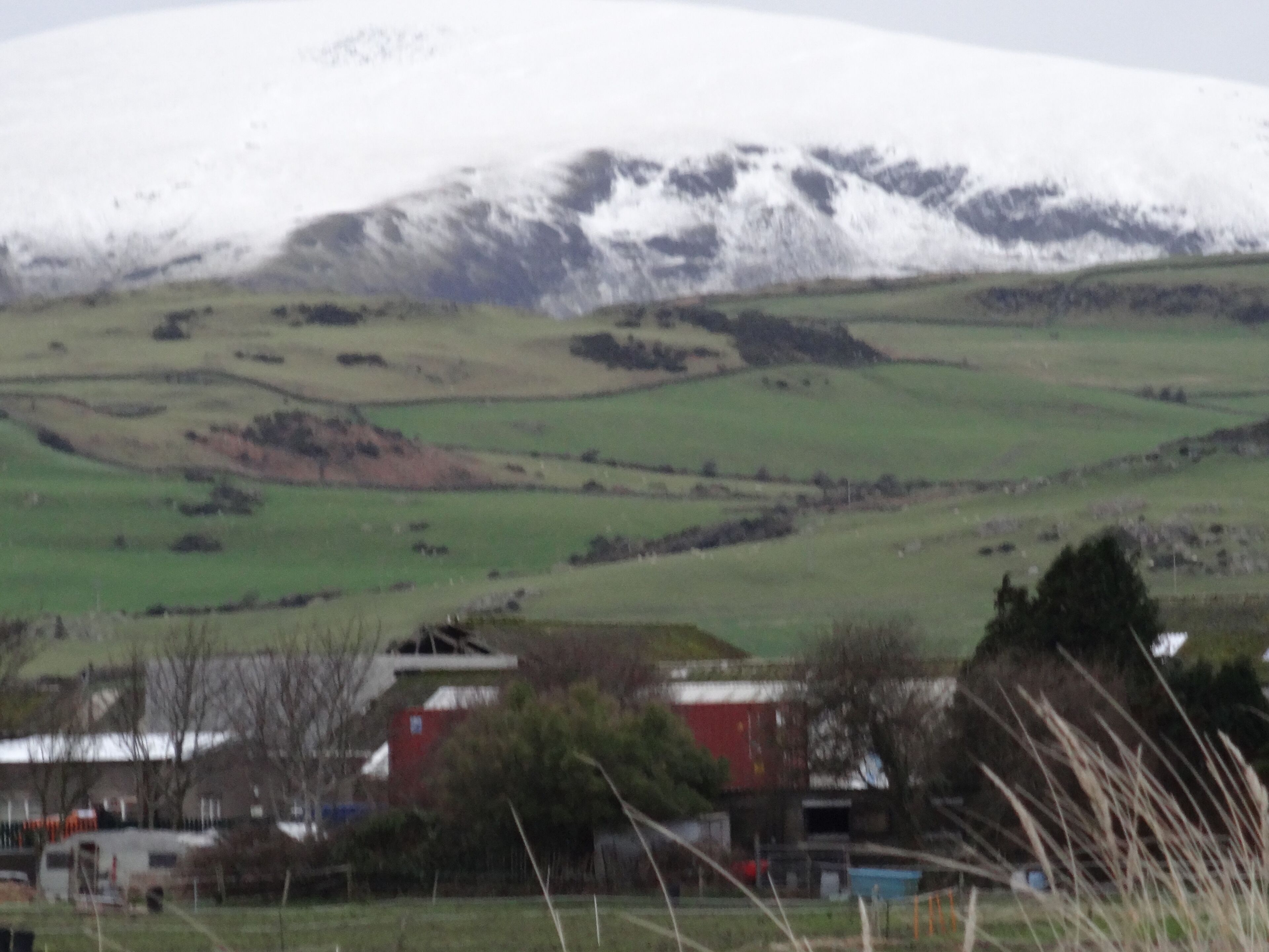 A rural landscape with a house and a barn in the foreground, a field, and a mountain with snow in the background.