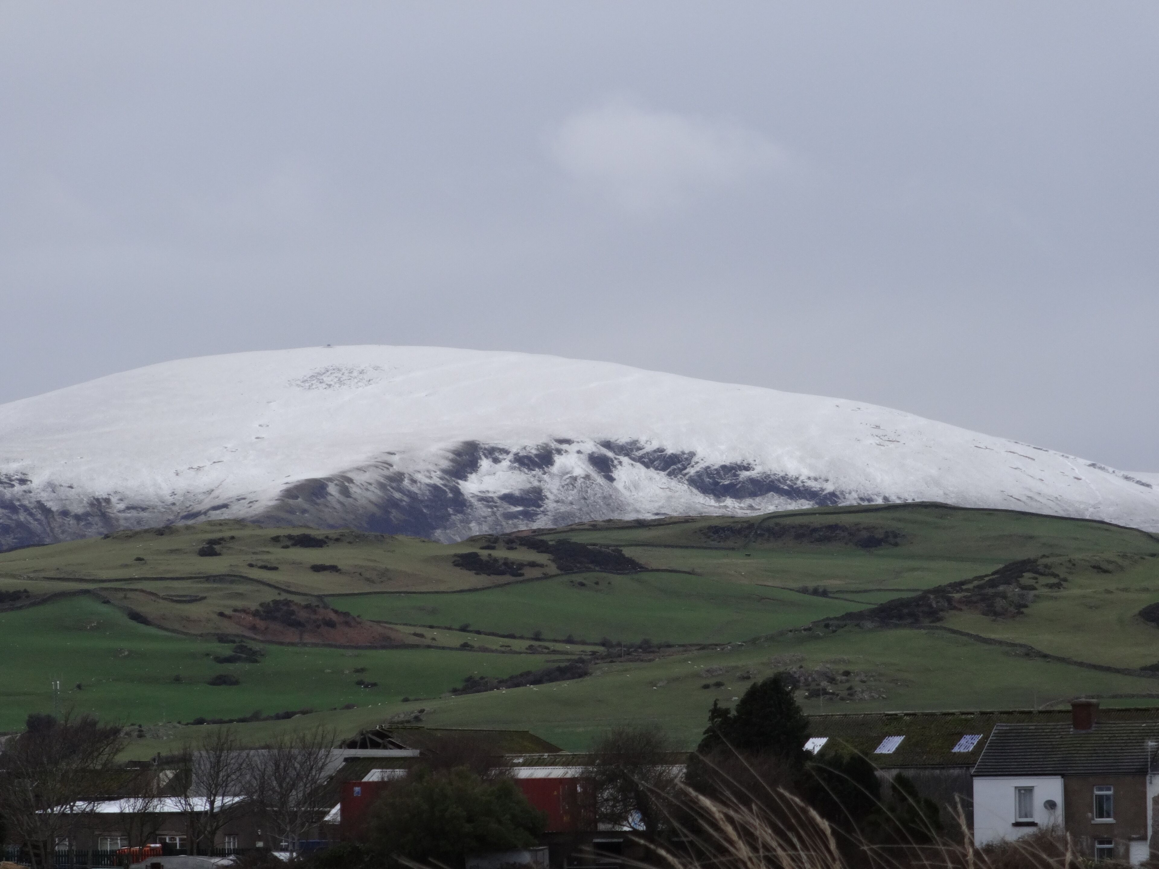 A snow-covered mountain with a green valley and houses in the foreground.