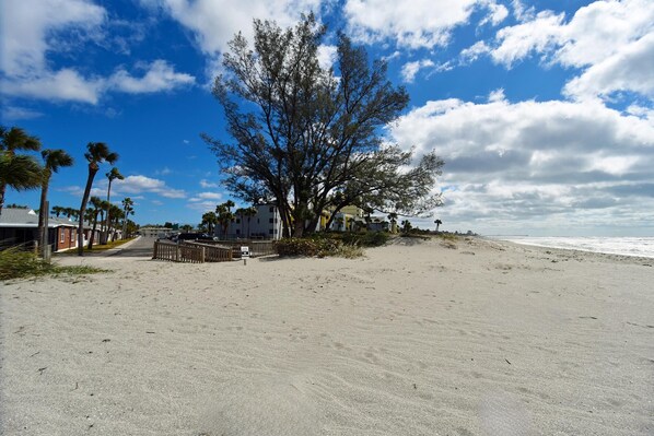 A sandy beach with a row of houses and a large tree in the center.