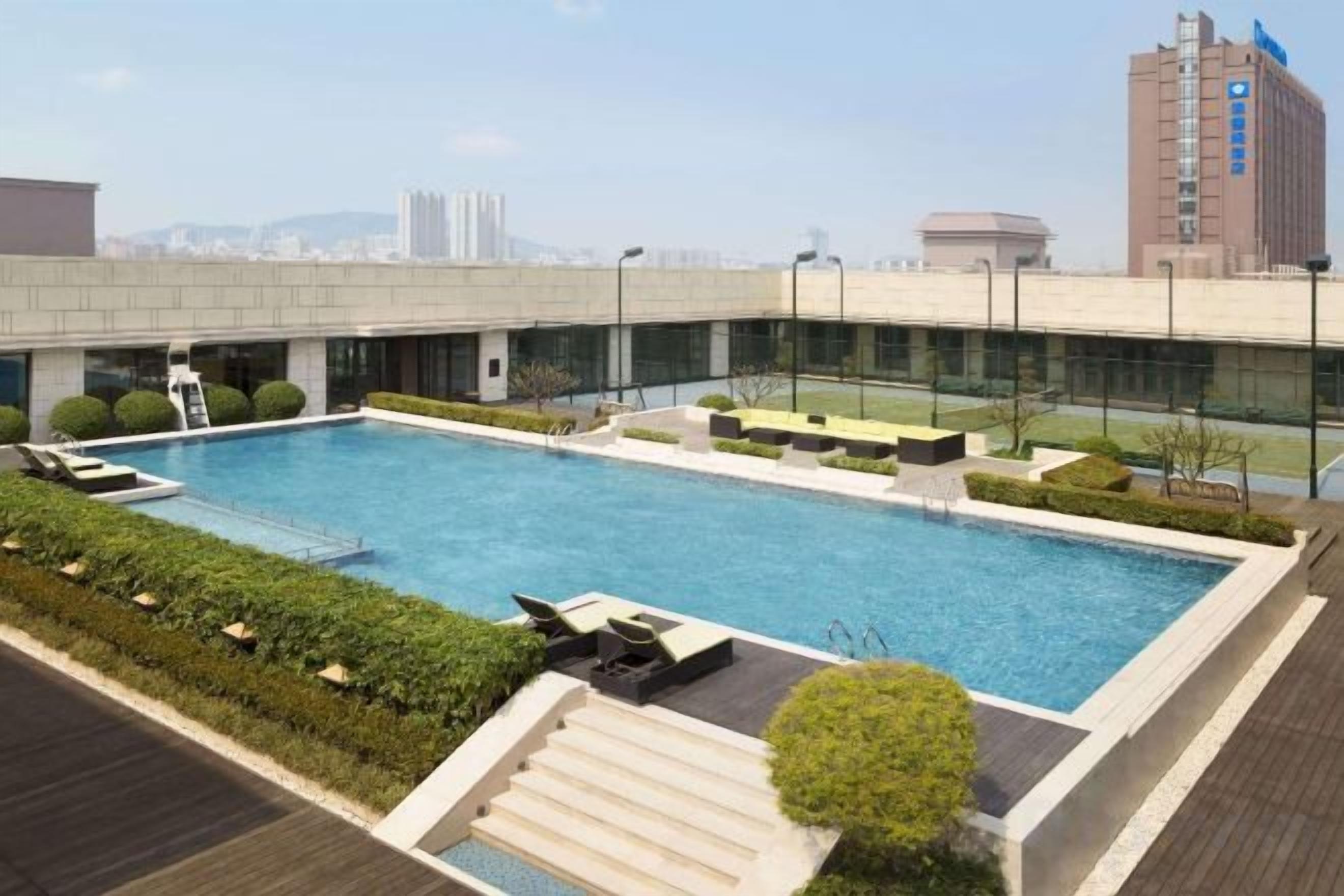 A rooftop swimming pool with a view of the city skyline.