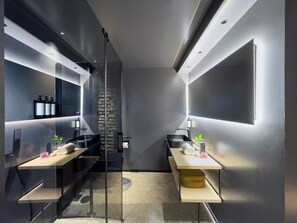 Design Studio (Accessible) | Bad | Toalettartikler (inkludert), hårføner, badekåper og håndklær