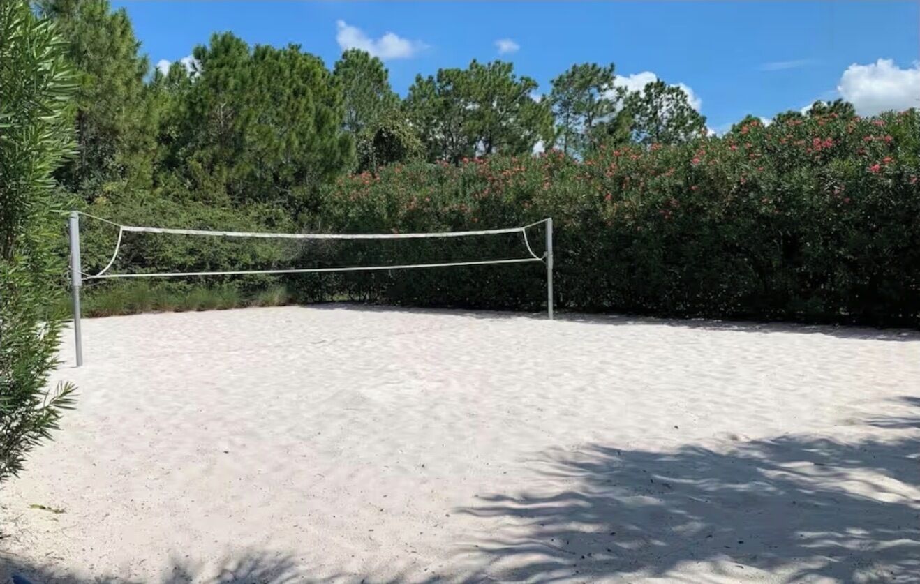 Ett volleybollnät är uppsatt på en sandig yta, med träd och buskar i bakgrunden.