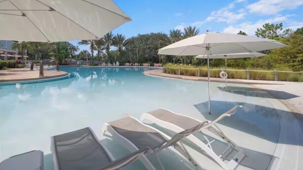 Une piscine entourée de chaises longues et de parasols, bordée de palmiers et surplombée d’un ciel dégagé.