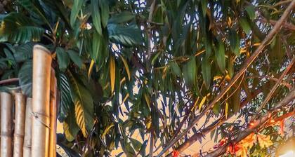 The Birdhouse At Shasta Lake