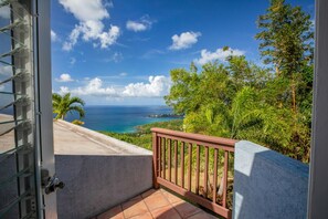 Property grounds - 4BR with pool very close to Neltjeberg Beach (St. Thomas)