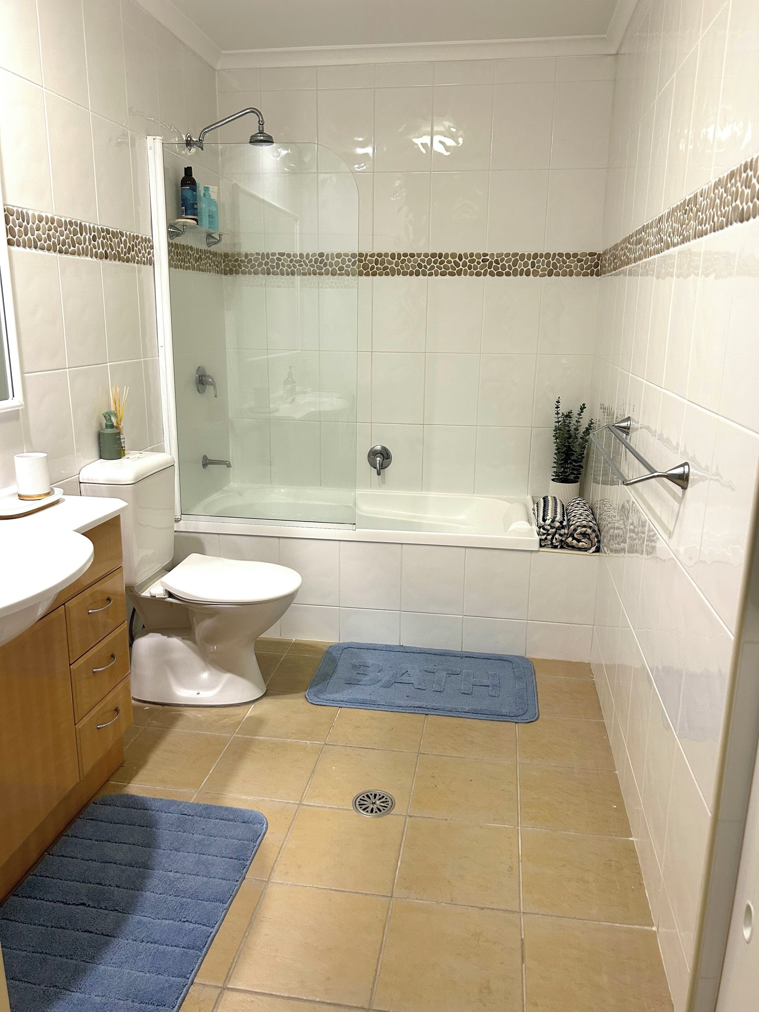 Hair dryer, towels, soap, toilet paper