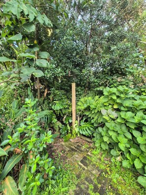 Property grounds - Cosy seculded rural retreat for the whole family (Raglan)