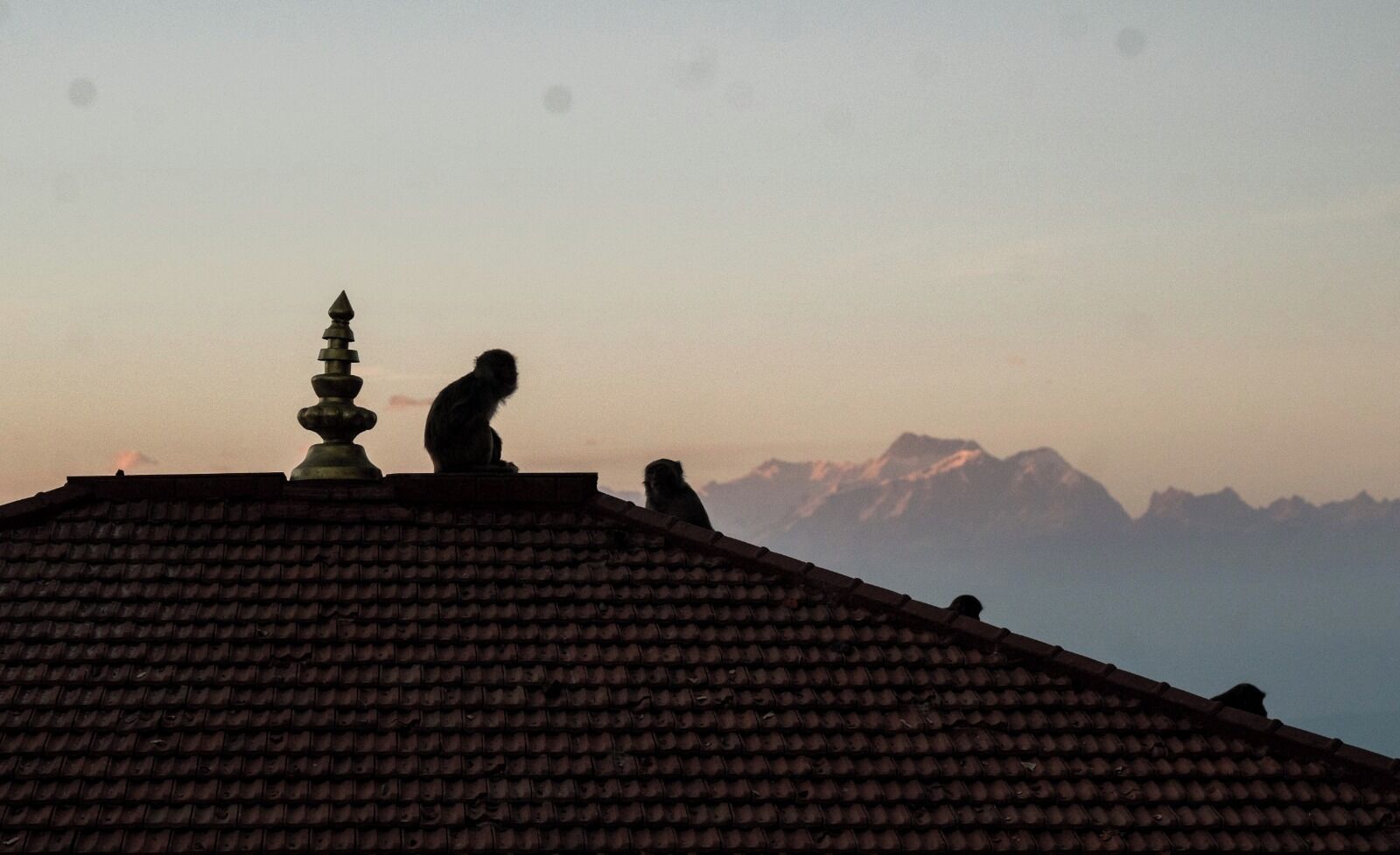 Ein Dach mit Ziegeldeckung und Schornstein.