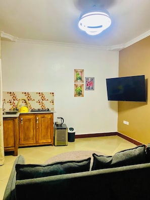 Un salon comprenant un canapé, un téléviseur fixé au mur, un coin cuisine avec des placards et un évier, ainsi qu’un luminaire au plafond.