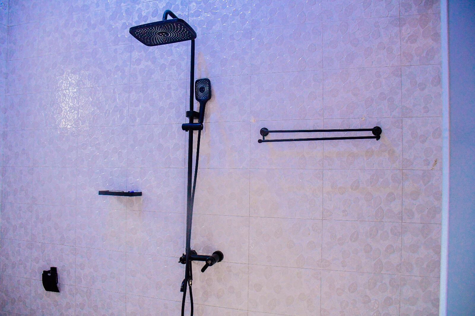 Shower, bidet, towels, soap
