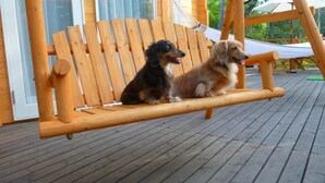 Deux chiens sont assis sur un banc-balançoire en bois, qui se trouve sur une terrasse en bois.