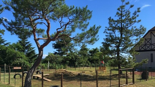 Un espacio al aire libre cercado con un parque infantil, un árbol grande y un edificio al fondo.