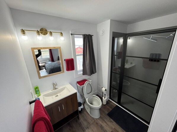 Shower, hair dryer, towels
