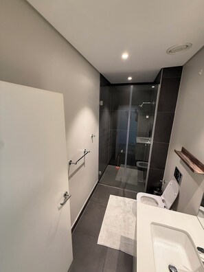 Suihku, hiustenkuivaaja, bidee, pyyhkeet