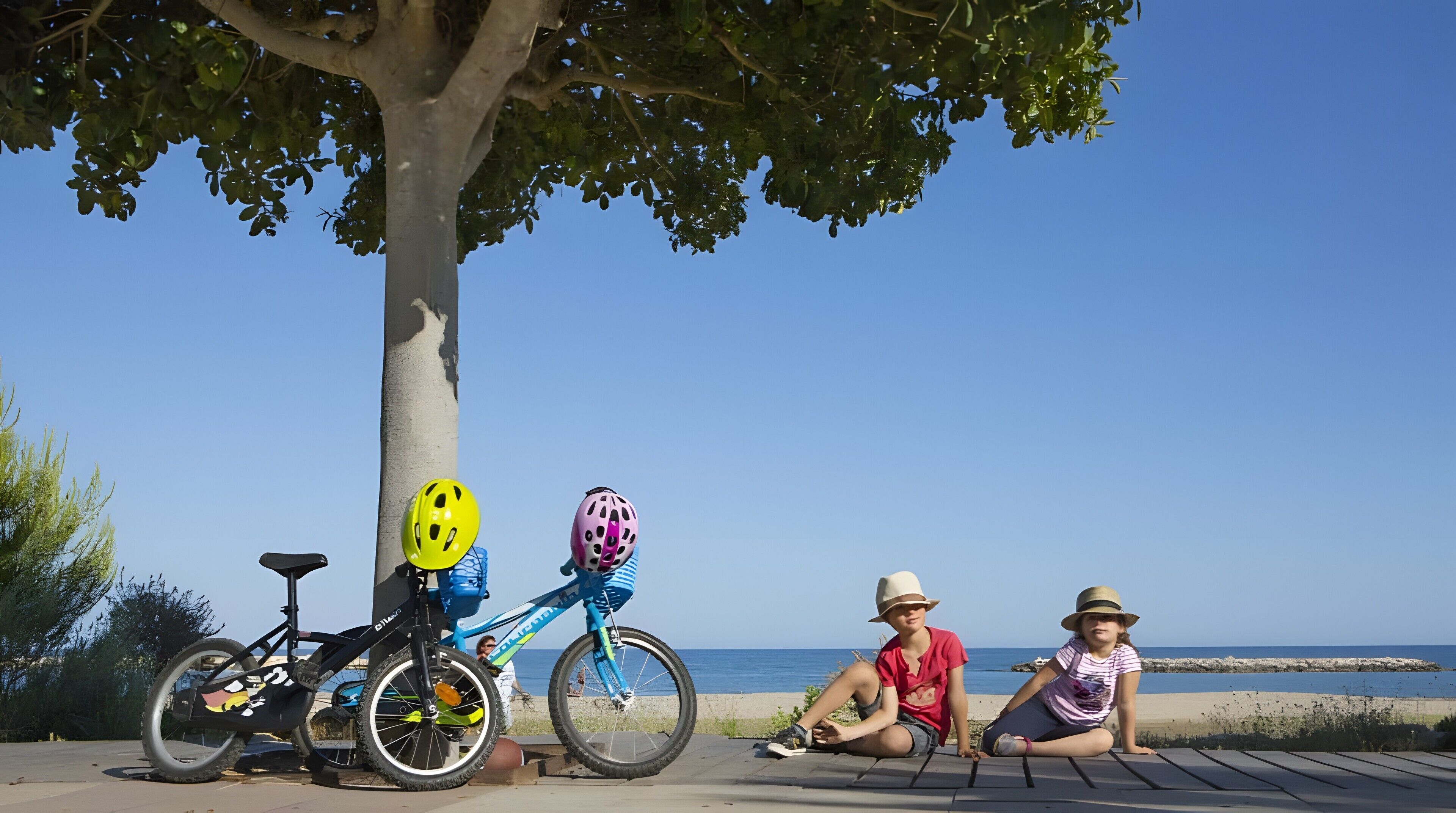 Een pad omzoomd met bomen, met fietsen en een strand op de achtergrond.