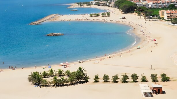 Une plage offrant une vue dégagée sur la mer, un rivage sablonneux et une rangée de palmiers.