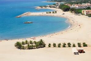 Une plage offrant une vue dégagée sur la mer, un rivage sablonneux et une rangée de palmiers.