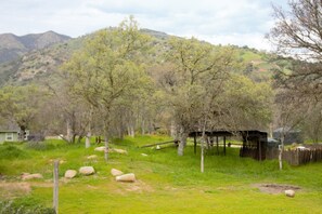 Property grounds - Deer Hollow Cabin - A family-friendly 3-bedroom cabin in charming Three Rivers (Three Rivers)