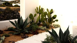 Un patio exterior moderno con una pared blanca, un jardín de cactus y vistas al paisaje costero.