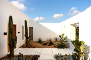 Un espace extérieur moderne avec des murs blancs, un jardin de cactus et un chemin pavé de motifs géométriques.