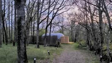 Lều, 1 giường cỡ king, quang cảnh vườn | Khuôn viên nơi lưu trú