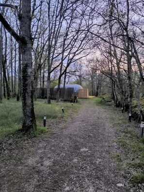 Tent, 1 King Bed, Garden View | Property grounds - Les Bois de Morphée (Escamps)