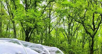 Les Bois de Morphée