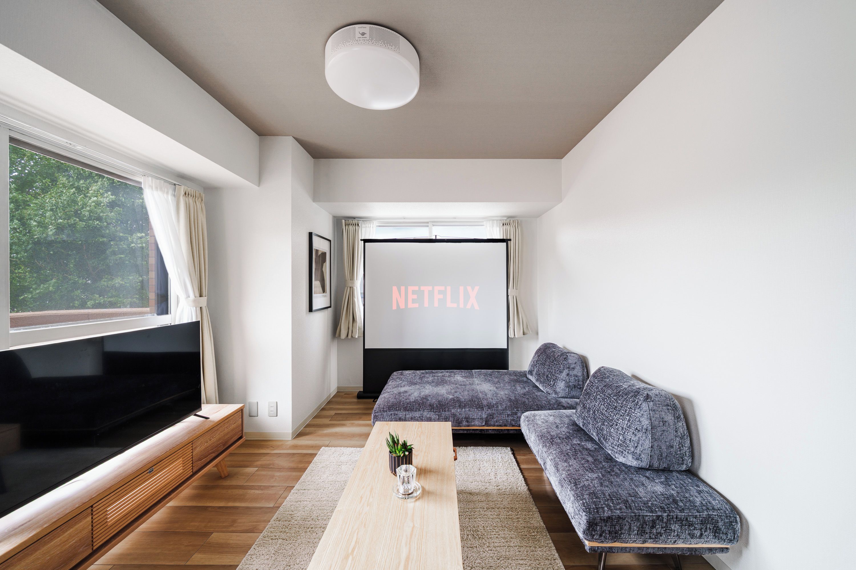 A modern living room with a flat-screen TV, a sofa, a coffee table, and a large window.
