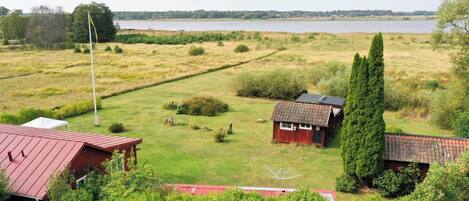 A rural property with a large open field, a small wooden house, and a tall coniferous tree.