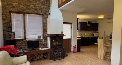 Mountain Family Guest House Rayovo