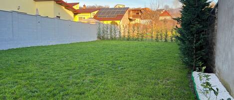 A grassy backyard with a white wall, a small garden bed, and a tall evergreen tree.