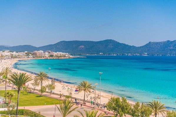 A coastal beach scene with clear turquoise waters, palm trees, and a cityscape in the background.