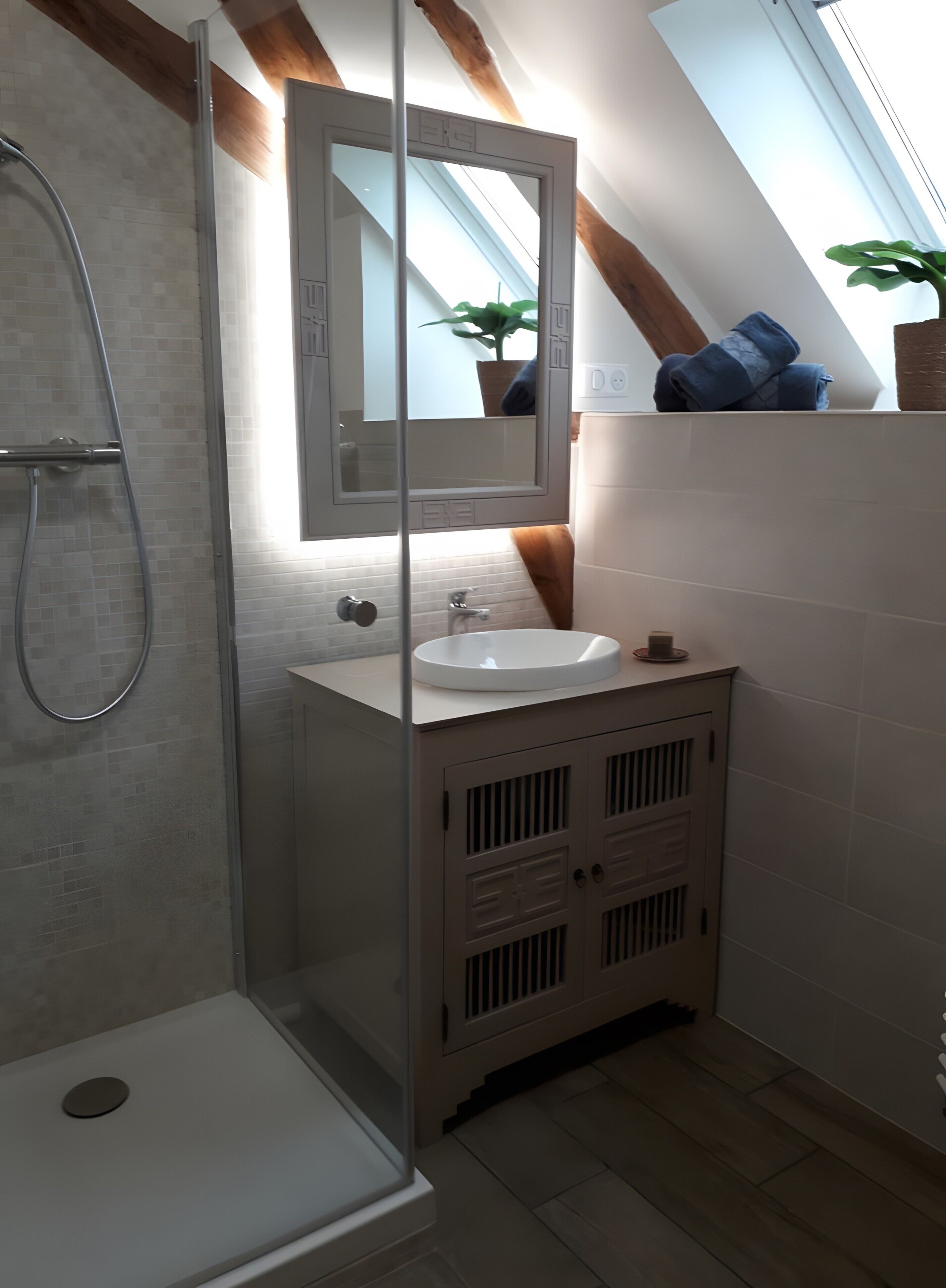 Shower, hair dryer, towels