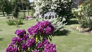 Un jardín con un arreglo floral púrpura en maceta, un arbusto de flores blancas y una valla de madera.